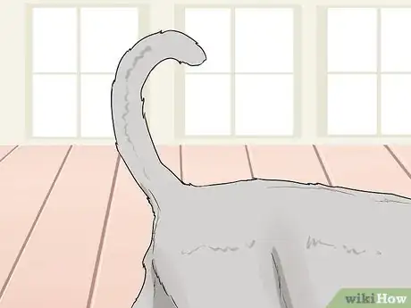 Image titled Figure Out Your Cat's Mood Step 1