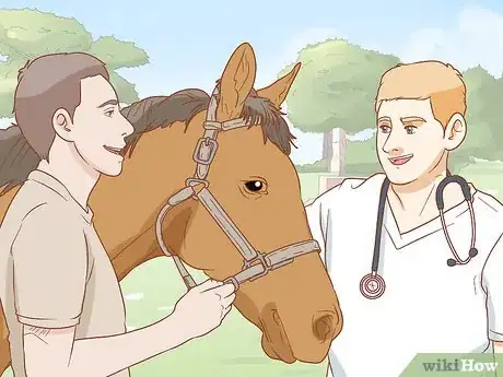 Image titled Manage a Laminitis Prone Horse Step 10