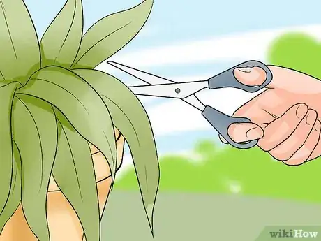 Image titled Plant Allium Bulbs Step 18