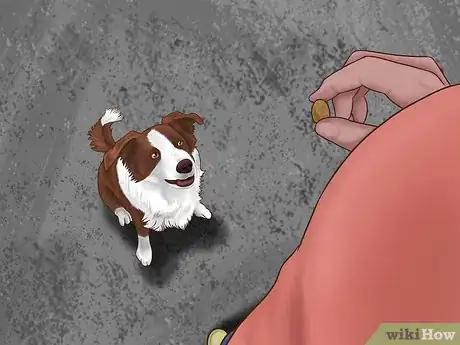 Image titled Stop Your Dog from Running Out of the Backyard Step 9