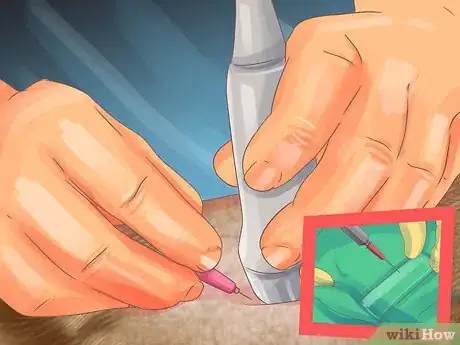 Image titled Diagnose Cytauxzoonosis in Cats Step 11