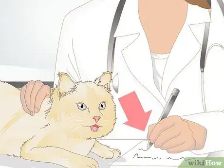 Image titled Prevent Feline Dental Disease Step 13