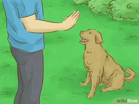 Image titled Be an Animal Lover Step 4