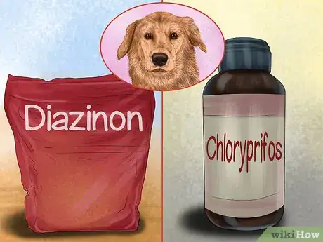 Image titled Avoid Poisoning Your Dog with Lawn Chemicals Step 1