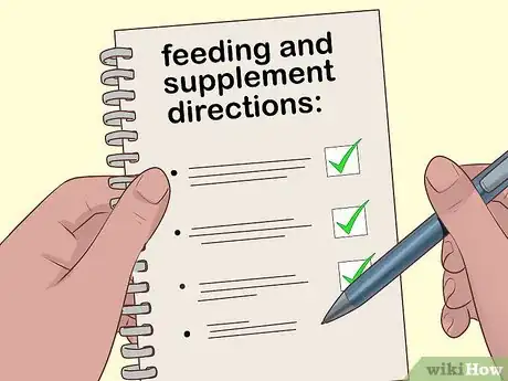 Image titled Handle Anorexia in Guinea Pigs Step 5