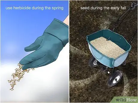 Image titled Get Rid of Crabgrass Step 4