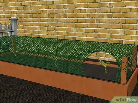 Image titled Grow Valerian Step 9