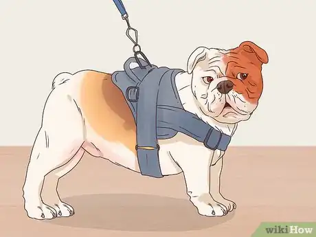 Image titled Travel with Dogs Step 14