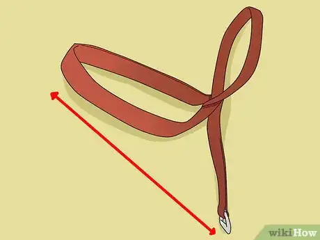 Image titled Use a Halter Collar on a Dog Step 2