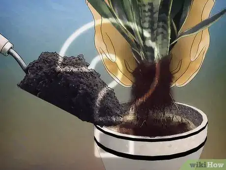 Image titled Choose Plant Soil Step 3