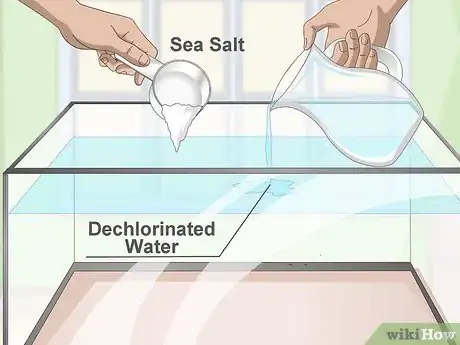 Image titled Start a Saltwater Reef Tank Step 7