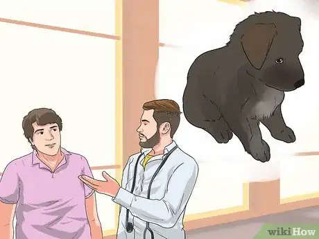 Image titled Diagnose Epilepsy in German Shepherds Step 8