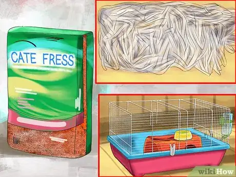 Image titled Prevent Skin Problems in Guinea Pigs Step 2