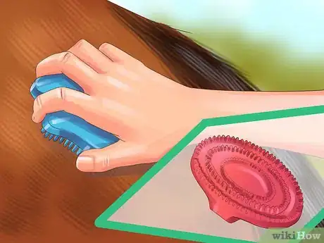 Image titled Assemble a Horse Grooming Kit Step 1