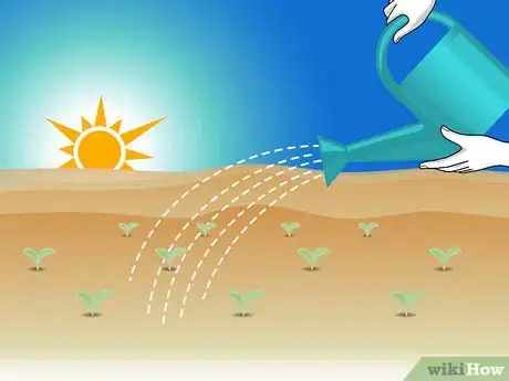 Image titled Grow Vegetables in the Southwest (USA) Step 07