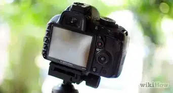 Photograph a Dragonfly