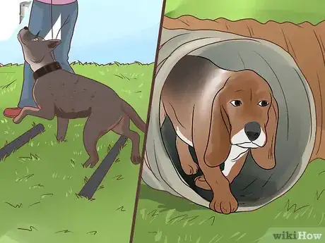 Image titled Support a Dog with Dementia Step 9