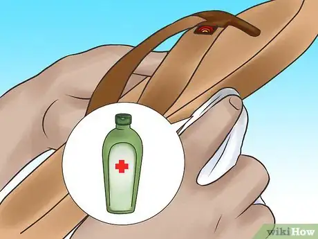 Image titled Clean Rainbow Sandals Step 5