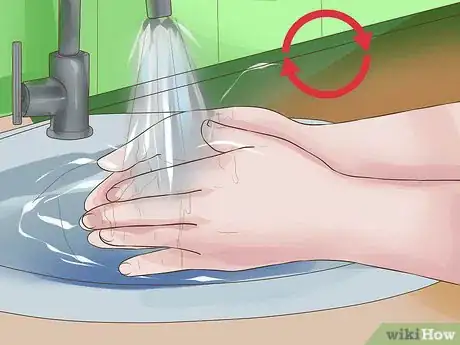 Image titled Prevent Bird Flu (Avian Influenza) Step 8