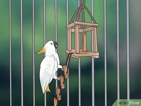 Image titled Deal with Obesity in Cockatoos Step 5