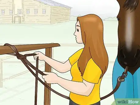 Image titled Take off a Horse Blanket Step 10