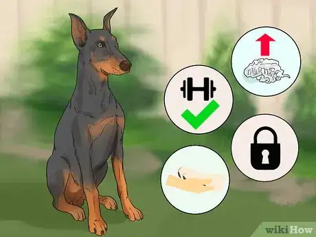 Image titled Choose a Dog That's Easy to Train Step 8
