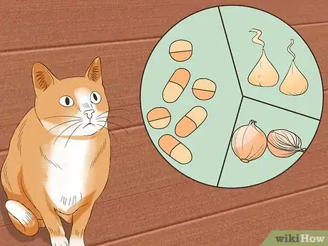 Image titled Keep a Cat Safe Step 2