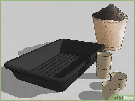 Image titled Plant a Seed Step 3