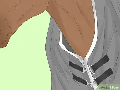 Image titled Measure for a Horse Blanket Step 7