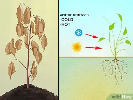 Image titled Treat and Prevent Nitrate Toxicity in Cattle Step 4