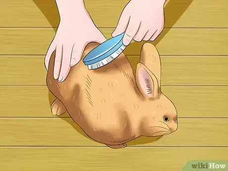 Image titled Care for Sussex Rabbits Step 14