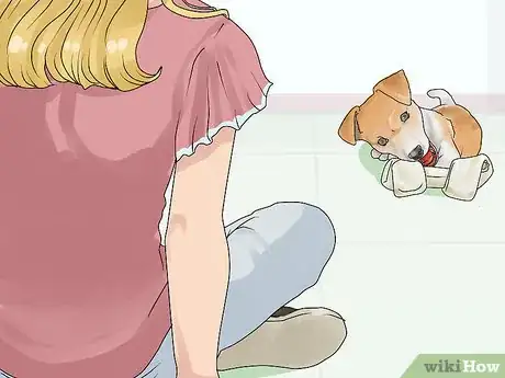 Image titled Give Your Dog a Treat Step 15