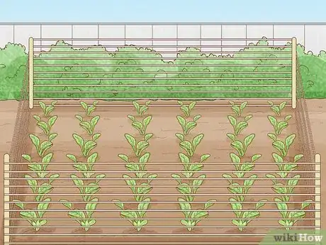 Image titled Start a Garden Step 12