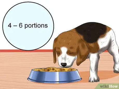 Image titled Treat Canine Coronavirus Step 3