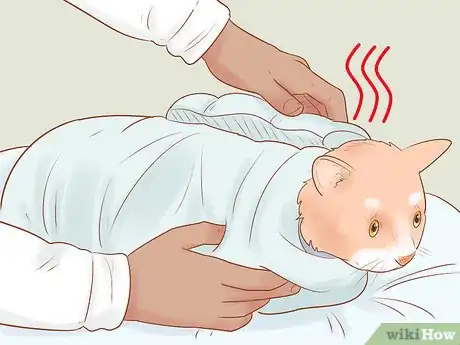 Image titled Diagnose and Treat Hypothermia in Cats Step 8