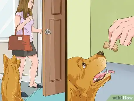 Image titled Manage Behavioral Dysfunction in Older Dogs Step 10