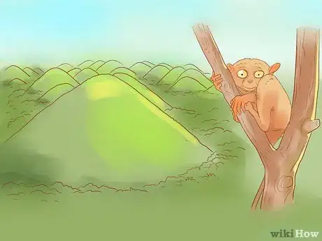 Image titled Go to Bohol from Cebu Step 15