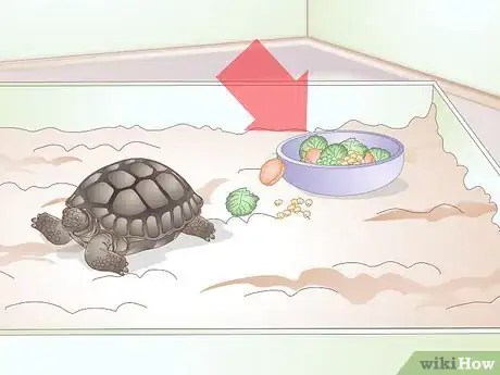 Image titled Treat Stomatitis in Tortoises Step 8