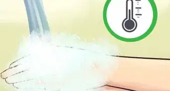 Bathe a Russian Tortoise