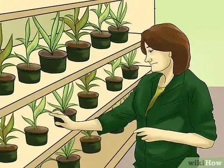 Image titled Grow a Bed Head Garden Step 3