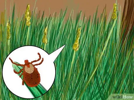 Image titled Prevent Tick Bites While Camping Step 3