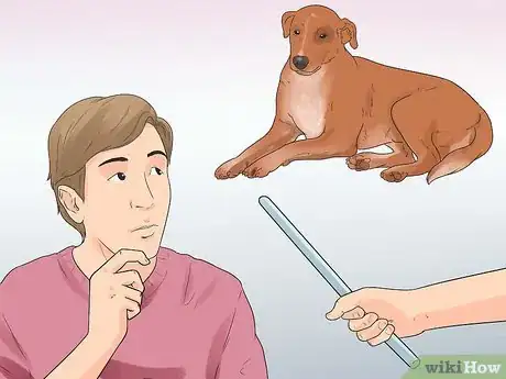 Image titled Rehabilitate an Overly Shy Dog Step 3