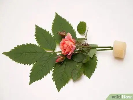 Image titled Arrange Foliage Step 6