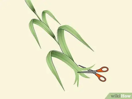 Image titled Plant Napier Grass Step 2