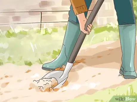 Image titled Make a Fall Flower Garden Step 7