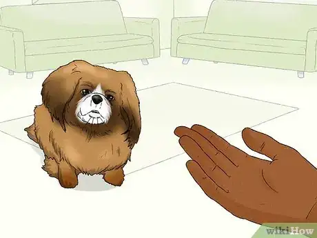 Image titled Identify a Pekingese Step 10