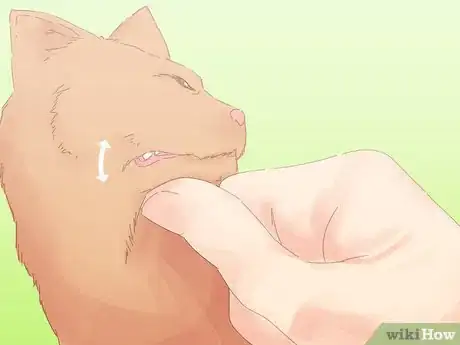 Image titled Save a Choking Cat Step 5