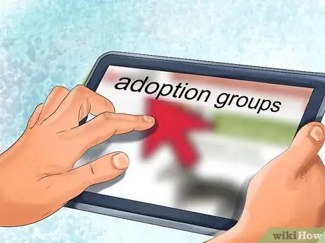 Image titled Choose a Bedlington Terrier Step 7