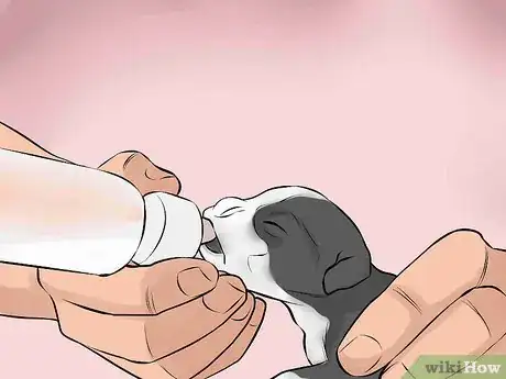 Image titled Handle a Mother Dog Refusing to Stay with Her Puppies Step 9