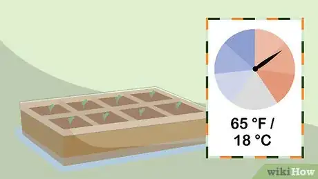 Image titled Plant Seeds in a Basic Seed Tray Step 14
